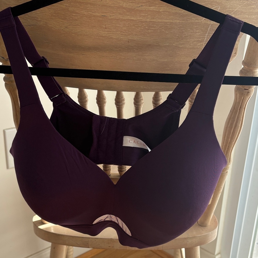 Cacique Rich Purple Women's Bra